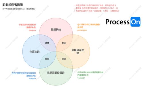 思维导图在职业规划中的应用 从职业选择到职业发展的思维导图