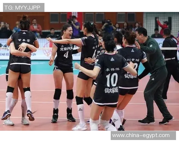 北京排球队实力揭秘：排球巨献背后的故事与成就
