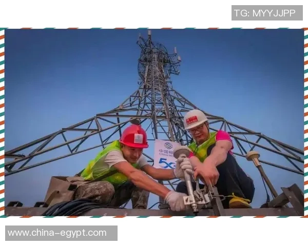 武汉篮球队的华丽转身与未来展望:从传统强队到现代化竞技新标杆