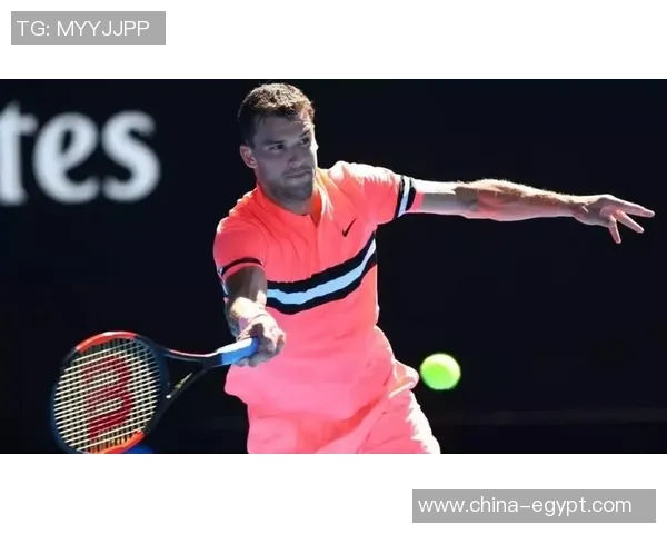 北京网球队的意识探讨与发展路径分析聚焦网球运动的未来与挑战